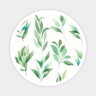 Eucalyptus watercolor Greenery Leaves Pattern Magnet